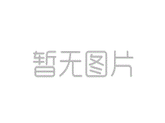 中国泳军半年来练得挺扎实 夏季测验赛